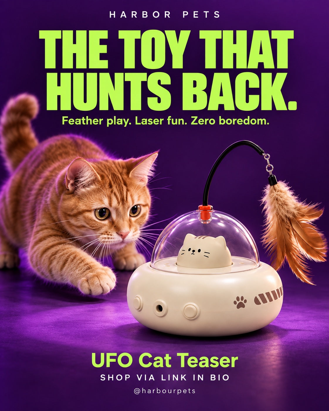 Automatic Cat Toys for Indoor Cats: 5 Play Styles Explained