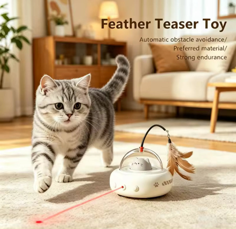 How to Keep an Indoor Cat Entertained: 9 Easy Ideas