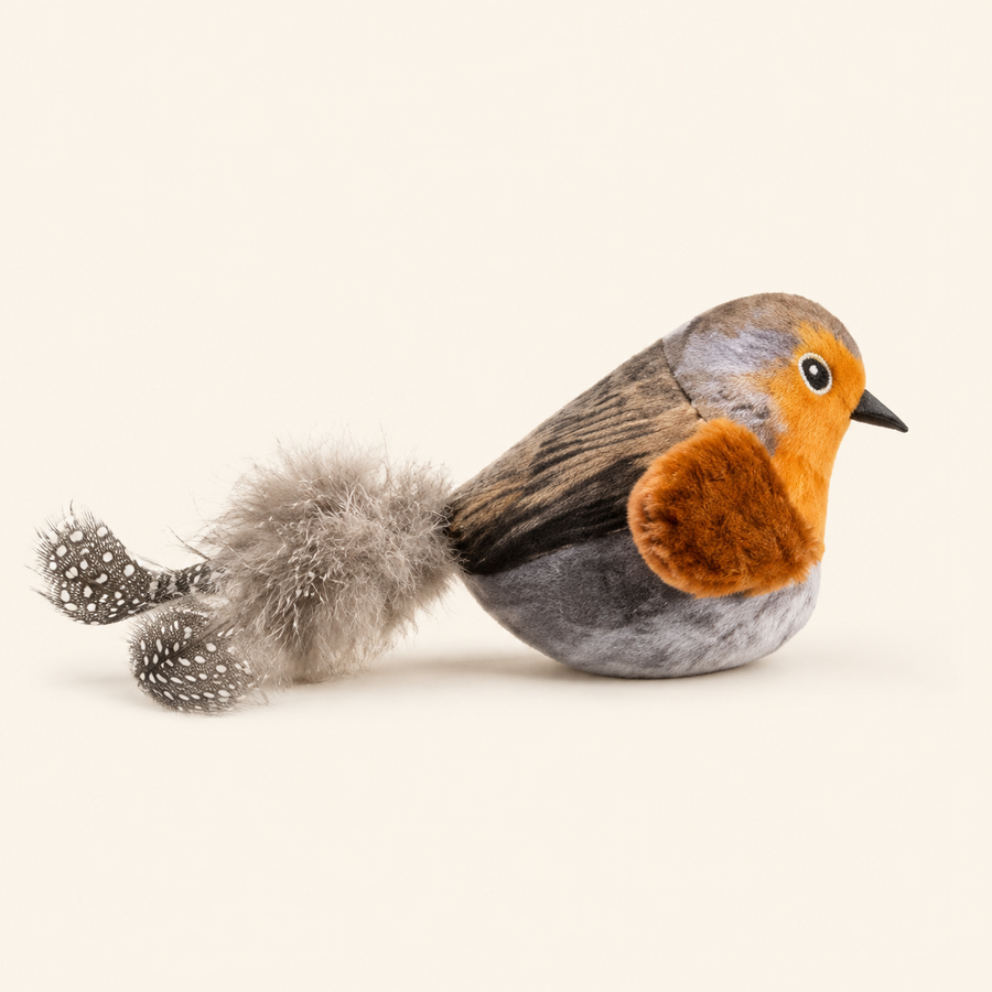 Best Cat Toys Under €20: 8 Affordable Ideas for Indoor Cats