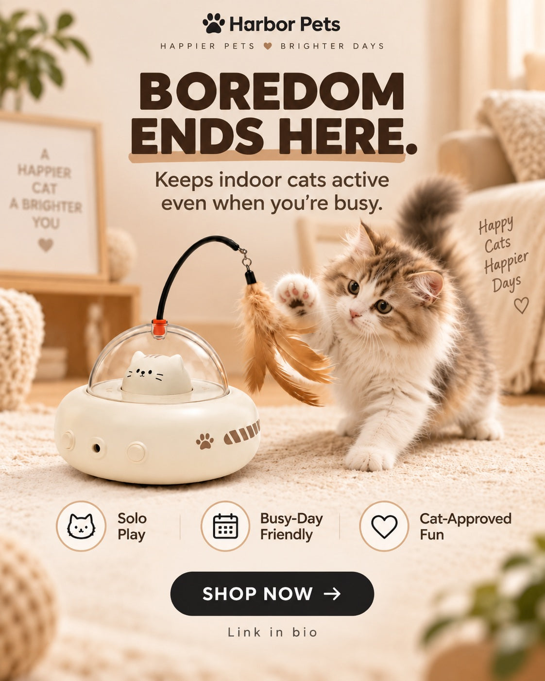 How to Keep Your Cat Busy While You Work: 8 Indoor Play Ideas