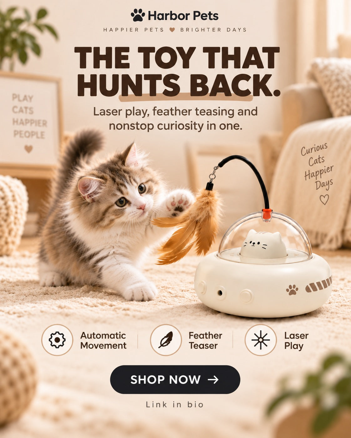 Cat Enrichment Ideas for Small Apartments: 9 Easy Ways to Keep Indoor Cats Busy